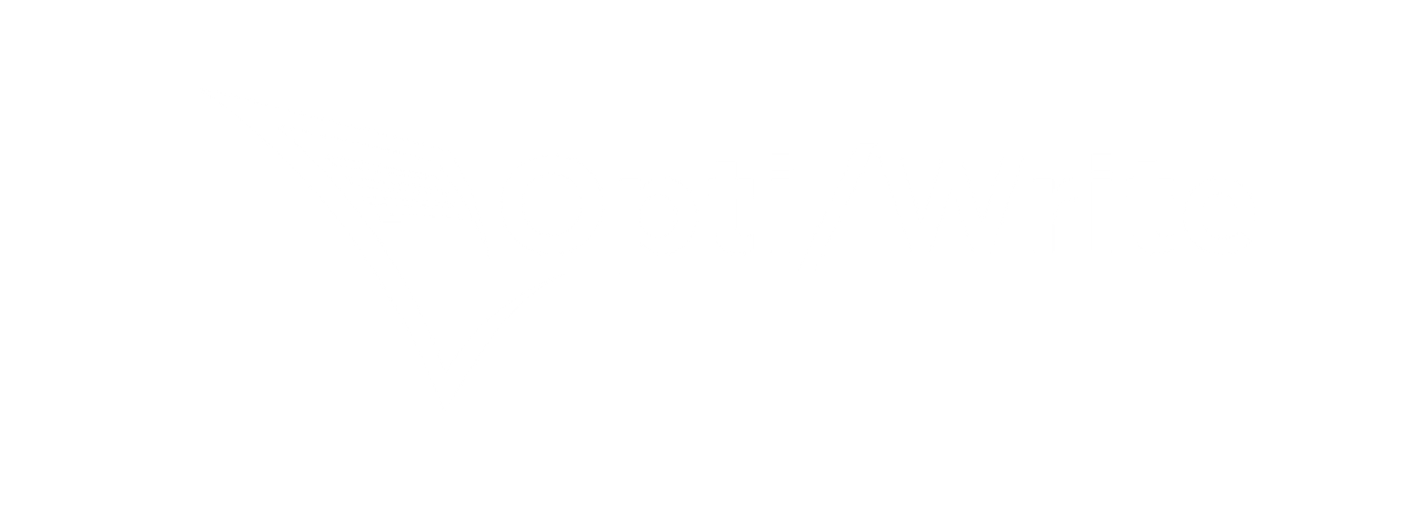 Opti-Write Logo All White